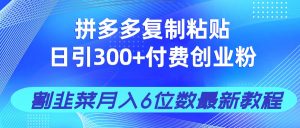 (14232期)拼多多复制粘贴日引300+付费创业粉,割韭菜月入6位数最新教程!-中创网_专注互联网创业,项目资源整合-心诚资源网