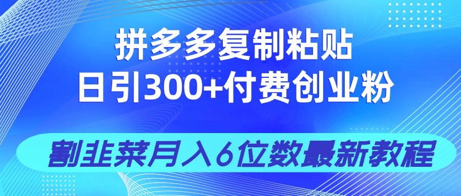 （14232期）拼多多复制粘贴日引300+付费创业粉，割韭菜月入6位数最新教程！-中创网_专注互联网创业,项目资源整合-心诚资源网