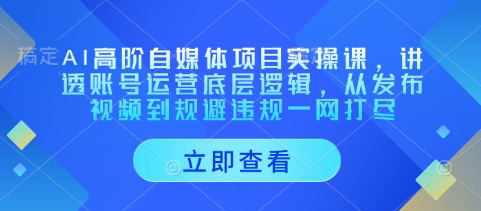 AI高阶自媒体项目实操课，讲透账号运营底层逻辑，从发布视频到规避违规一网打尽-中创网_专注互联网创业,项目资源整合-心诚资源网
