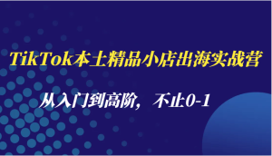 TikTok本土精品小店出海实战营，从入门到高阶，不止0-1-中创网_专注互联网创业,项目资源整合-心诚资源网