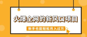 火爆全网的新风口新项目，依靠人工智能技术AI看命，免费预测运势，初学者都可以轻松月入了W-中创网_专注互联网创业,项目资源整合-心诚资源网