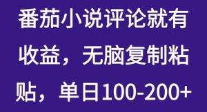 番茄小说评价就会有盈利,没脑子拷贝,单日100-200-中创网_专注互联网创业,项目资源整合-心诚资源网