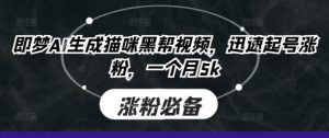 即梦AI形成猫猫黑道短视频,快速养号增粉,一个月5k-中创网_专注互联网创业,项目资源整合-心诚资源网