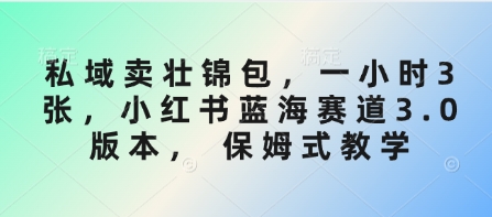 公域卖壮锦包，一小时3张，小红书的瀚海跑道3.0版本号， 跟踪服务课堂教学-中创网_专注互联网创业,项目资源整合-心诚资源网