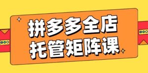 拼多多平台店铺代管引流矩阵课,赢利促销游戏玩法,高效率方案设定,提升店铺经济效益-中创网_专注互联网创业,项目资源整合-心诚资源网