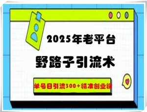 2025年老平台歪门邪道引流术,运单号日引流方法300 精确自主创业粉-中创网_专注互联网创业,项目资源整合-心诚资源网