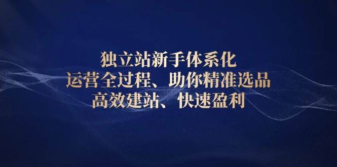 独立站新手体系化 运营全过程，助你精准选品、高效建站、快速盈利-中创网_专注互联网创业,项目资源整合-心诚资源网