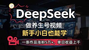（14270期）新手用DeepSeek做健康养生号，一条著作增粉5万 ，单日盈利过千-中创网_专注互联网创业,项目资源整合-心诚资源网