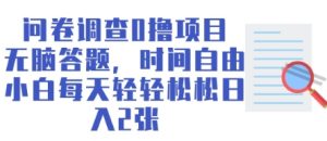 问卷调查0撸项目,无脑答题,时间自由,小白每天轻轻松松日入2张-中创网_专注互联网创业,项目资源整合-心诚资源网