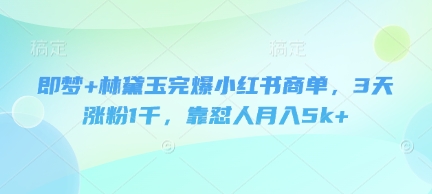 即梦+林黛玉完爆小红书商单，3天涨粉1千，靠怼人月入5k+-中创网_专注互联网创业,项目资源整合-心诚资源网