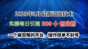 2025年3月全新引流技术,实际操作每日引流方法500 自主创业粉,一个被忽视服务平台,使用方便防封号-中创网_专注互联网创业,项目资源整合-心诚资源网