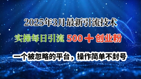 2025年3月全新引流技术，实际操作每日引流方法500 自主创业粉，一个被忽视服务平台，使用方便防封号-中创网_专注互联网创业,项目资源整合-心诚资源网