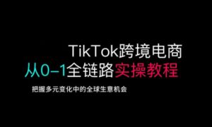TikTok跨境电子商务从0-1全链路营销多方位实际操作实例教程，掌握多元化发展中全球买卖机遇-中创网_专注互联网创业,项目资源整合-心诚资源网