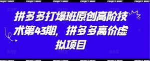 拼多多平台打穿班原创设计高级技术性第43期，拼多多平台高价位虚拟资源项目-中创网_专注互联网创业,项目资源整合-心诚资源网