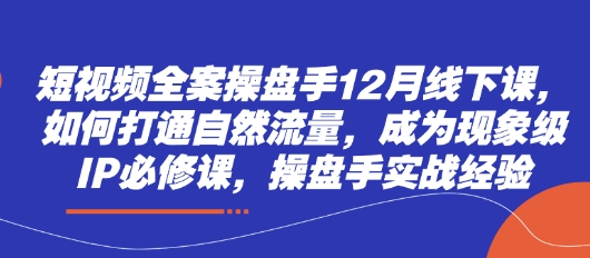 短视频全案操盘手12月线下课，如何打通自然流量，成为现象级IP必修课，操盘手实战经验-心诚资源网