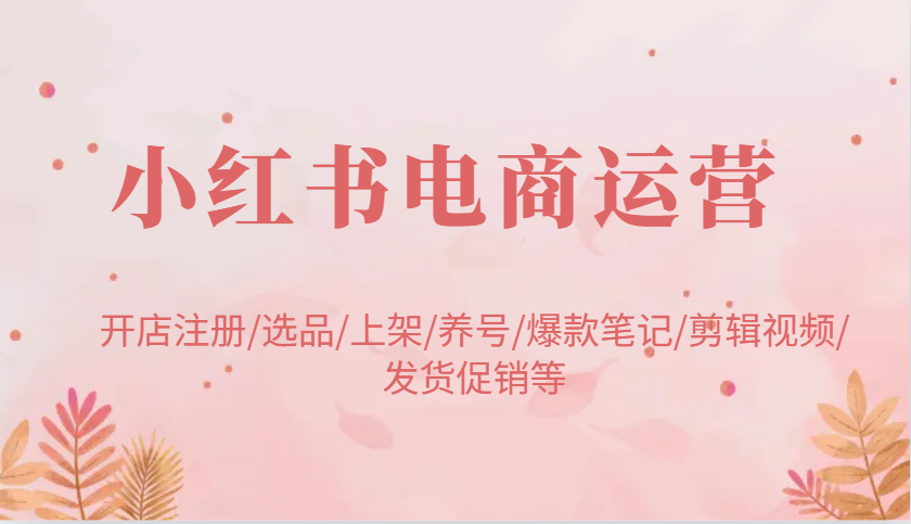 小红书电商经营：开实体店申请注册/选款/发布/起号/爆品手记/视频编辑/安排发货促销等-中创网_专注互联网创业,项目资源整合-心诚资源网