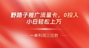 0门槛推广流量卡,一单收益上百,0投入,小白月入过W-中创网_专注互联网创业,项目资源整合-心诚资源网