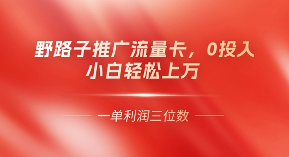 0门槛推广流量卡，一单收益上百，0投入，小白月入过W-中创网_专注互联网创业,项目资源整合-心诚资源网