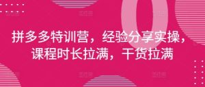 拼多多平台夏令营,心得分享实际操作,课程内容时间打满,干货知识打满(升级25年4月)-中创网_专注互联网创业,项目资源整合-心诚资源网
