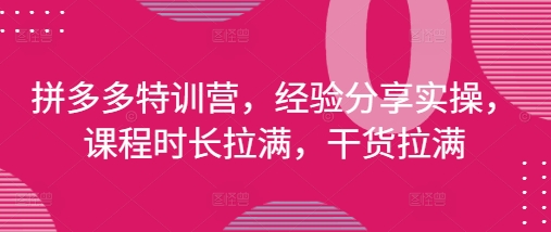 拼多多平台夏令营，心得分享实际操作，课程内容时间打满，干货知识打满(升级25年4月)-中创网_专注互联网创业,项目资源整合-心诚资源网