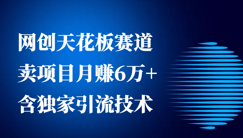 网创天花板赛道，卖项目月赚6万+，含独家引流技术（共26节课）-中创网_专注互联网创业,项目资源整合-心诚资源网