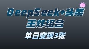 2025年DeepSeek 今日头条王炸组合，单日转现3张-中创网_专注互联网创业,项目资源整合-心诚资源网