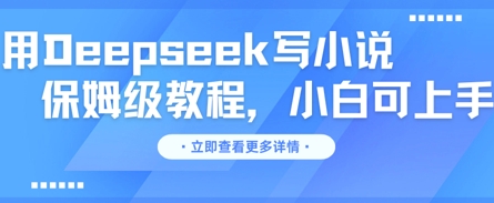 用Deepseek写网络小说，家庭保姆级实例教程，小白可实际操作-中创网_专注互联网创业,项目资源整合-心诚资源网