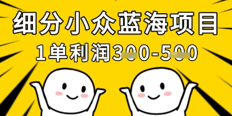 细分化冷门蓝海项目，一单利润3张，每月工作稳定过1w-中创网_专注互联网创业,项目资源整合-心诚资源网