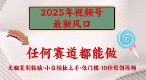 (14453期)2025年微信视频号新蓝海,门槛较低只需没脑子实行-中创网_专注互联网创业,项目资源整合-心诚资源网