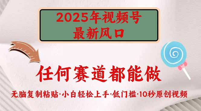 （14453期）2025年微信视频号新蓝海，门槛较低只需没脑子实行-中创网_专注互联网创业,项目资源整合-心诚资源网