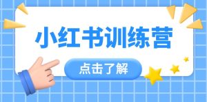(14545期)小红书的夏令营,助新手新手入门,找对方法变大咖,课程内容实际操作又全方位(12堂课)-中创网_专注互联网创业,项目资源整合-心诚资源网