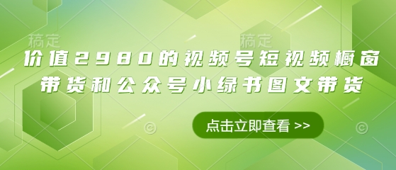 价值2980的视频号短视频橱窗带货和公众号小绿书图文带货-中创网_专注互联网创业,项目资源整合-心诚资源网