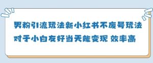 粉丝引流方法游戏玩法(新),游戏玩法友善做得好当天就能转现-中创网_专注互联网创业,项目资源整合-心诚资源网