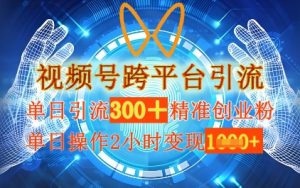 微信视频号跨平台推广,单日实际操作2钟头,单日引流方法300 精确自主创业粉,单日转现多张-中创网_专注互联网创业,项目资源整合-心诚资源网