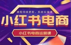 小红书的电商运营实操课,初学者从0~1落地式实际操作-中创网_专注互联网创业,项目资源整合-心诚资源网