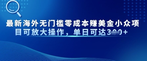 全新国外零门槛美元冷门新项目可变大实际操作，单日可以达到3张-中创网_专注互联网创业,项目资源整合-心诚资源网
