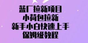 蓝厂拉新项目，小荷包引流，新手入门快速入门，家庭保姆级实例教程-中创网_专注互联网创业,项目资源整合-心诚资源网