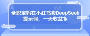 全职宝妈在小红书卖DeepSeek提示词,一天收益1k-中创网_专注互联网创业,项目资源整合-心诚资源网
