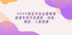 (14389期)2025淘宝开店运营教程更新,直通车技巧全解析,动销、爆款、人群搭建-中创网_专注互联网创业,项目资源整合-心诚资源网