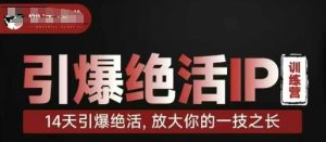 点爆绝技IP夏令营,14天点爆绝技,变大你一技之长-中创网_专注互联网创业,项目资源整合-心诚资源网
