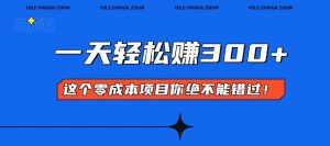 (13702期)零成本入门!简单几步开启一天300+的赚钱之路!-中创网_专注互联网创业,项目资源整合-心诚资源网