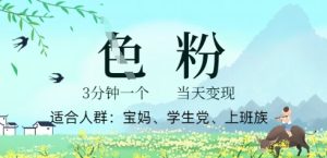 小视频S粉方案，3 min原创设计，当日转现-中创网_专注互联网创业,项目资源整合-心诚资源网