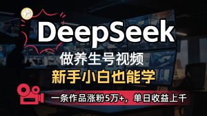 DeepSeek 既梦Ai形成中医养生视频,5分钟左右一条,一条条爆品,轻轻松松日入300-中创网_专注互联网创业,项目资源整合-心诚资源网