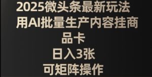 2025头条全新游戏玩法,用AI大批量生产具体内容挂产品卡,日入3张,可引流矩阵实际操作-中创网_专注互联网创业,项目资源整合-心诚资源网
