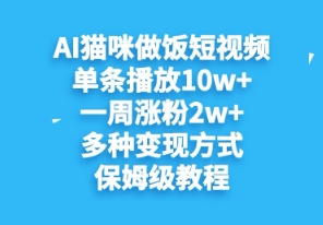AI猫猫煮饭小视频，一条播放视频10w ，一周升分2w ，多种多样变现模式，家庭保姆级实例教程-中创网_专注互联网创业,项目资源整合-心诚资源网