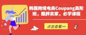 韩跨境电子商务Coupang高级班,酷胖商家,必会课程内容-中创网_专注互联网创业,项目资源整合-心诚资源网