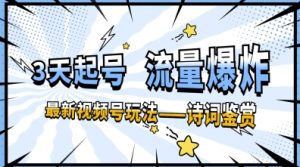 一天收入几张,视频号最新赛道—诗词鉴赏,3天必起,流量爆炸,新人也能轻松上手-心诚资源网