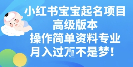 小红书的宝宝取名新项目高端版本号，使用方便，材料技术专业，月入了W-中创网_专注互联网创业,项目资源整合-心诚资源网