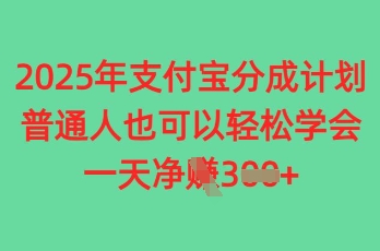 2025年支付宝钱包分为方案，平常人也可以快速掌握，一天盈利3张-中创网_专注互联网创业,项目资源整合-心诚资源网
