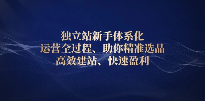 （13914期）独立站新手体系化 运营全过程，助你精准选品、高效建站、快速盈利-中创网_专注互联网创业,项目资源整合-心诚资源网